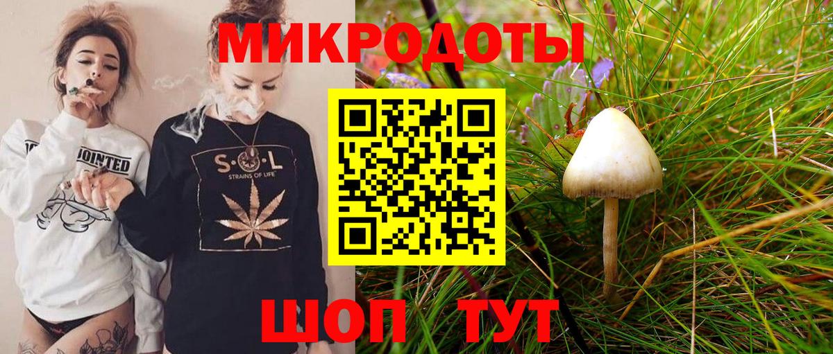 Галлюциногенные грибы GOLDEN TEACHER Биробиджан
