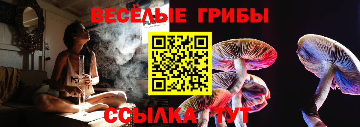 Биробиджан  Псилоцибиновые грибы прущие грибы  Вход с VPN 